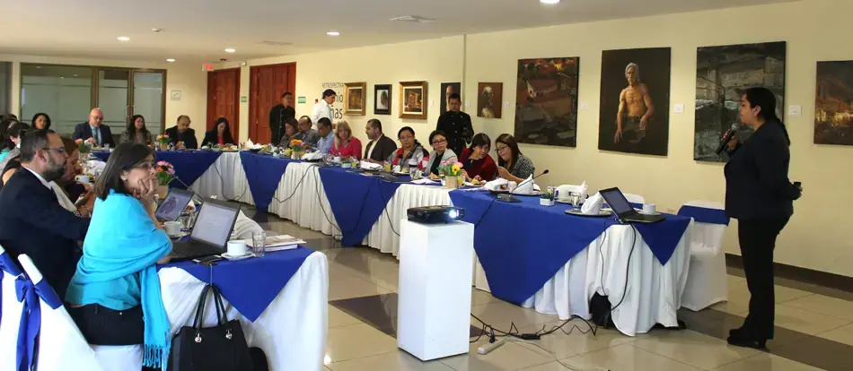 UNFPA participa en primera reunión con Comité Técnico de la ENIPENA