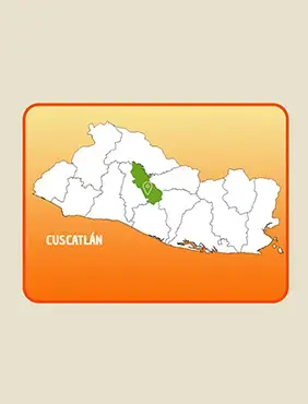 CUSCATLÁN. Reporte de casos de inscripciones prenatales, violencia sexual y cobertura educativa en niñas y adolescentes a nivel municipal.