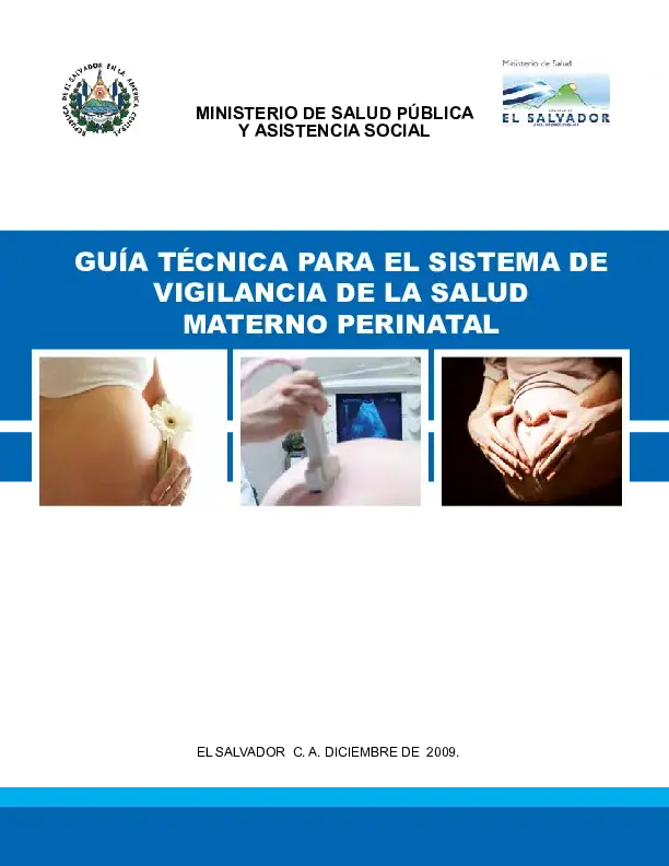 Guía técnica para el sistema de vigilancia de la salud materno perinatal