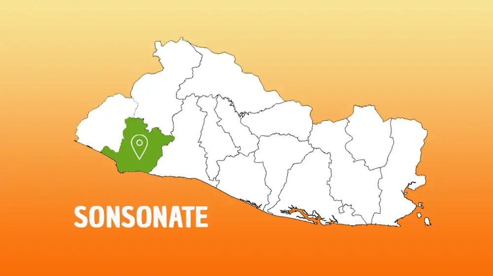 SONSONATE.Reporte de casos de inscripciones prenatales, violencia sexual y cobertura educativa en niñas y adolescentes a nivel municipal.